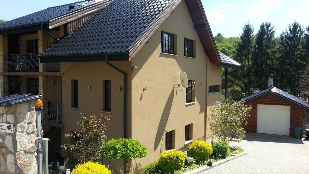 Willa Solina Hotel Solina  Kültér fotó